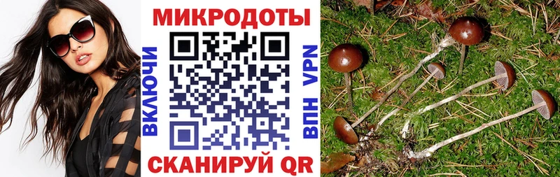 Галлюциногенные грибы ЛСД Красный Сулин